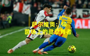  萨尔维奥：绿茵场上的灵动舞者