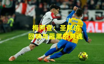 梅阿查:圣殿的回响与蓝黑的灵魂