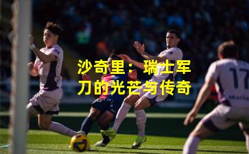 沙奇里：瑞士军刀的光芒与传奇