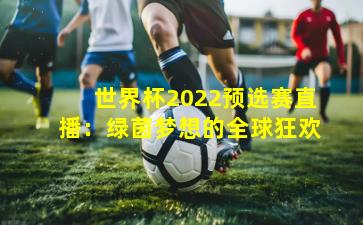 世界杯2022预选赛直播：绿茵梦想的全球狂欢