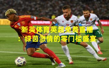 新英体育英超免费直播：绿茵激情的零门槛盛宴